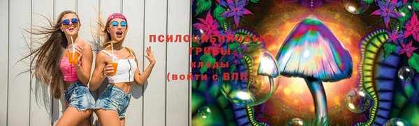 спиды Магас