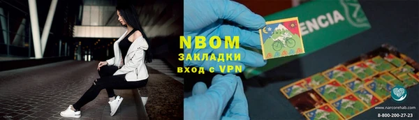 хмурый Алзамай