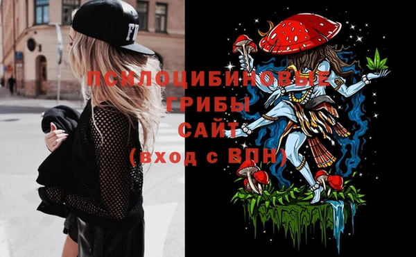 spice Алексеевка