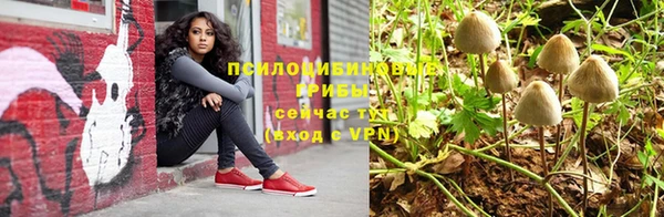 хмурый Алзамай