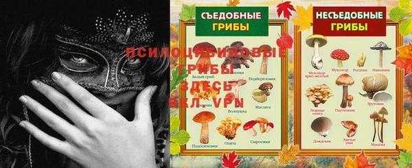 хмурый Алзамай
