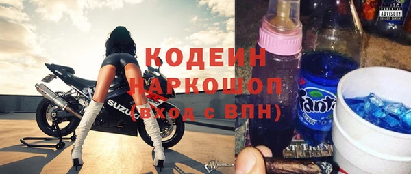 хмурый Алзамай