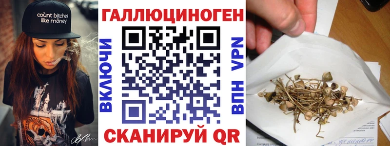 Псилоцибиновые грибы Psilocybine cubensis  закладки  Пенза 